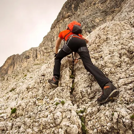 El Fogher In Dolomites *